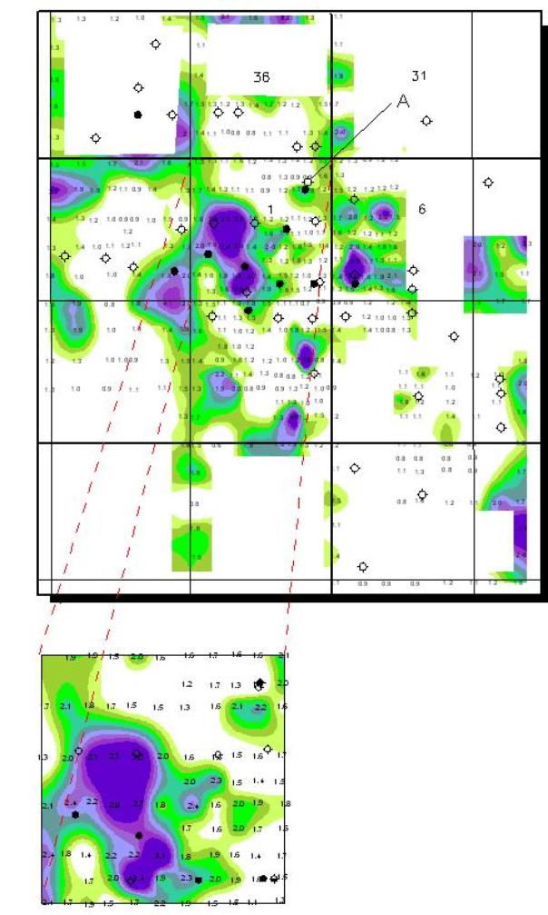 Iodine Survey, 1989